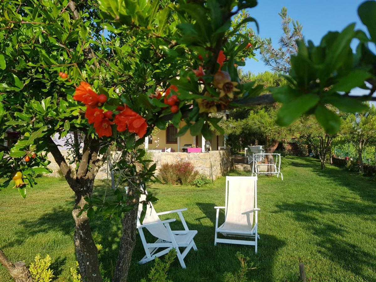 Hotel Nar Bagevi Bozcaada Zewnętrze zdjęcie
